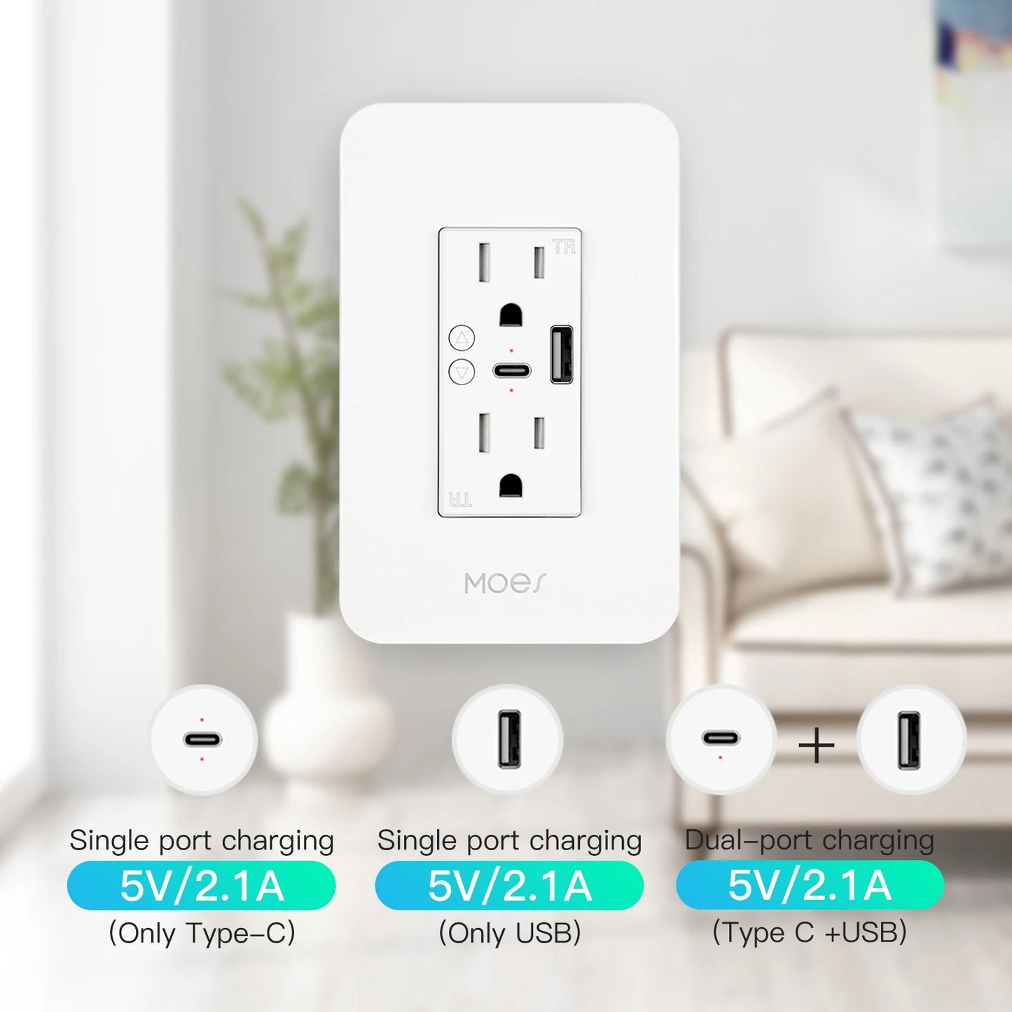 Smart Power Wall Socket with Type C And USB Dual Outlet